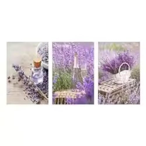 Affiche noir et blanc vintage tournesol triptyque de toile 22x35cm pour salon