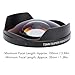 shenruifa 0.3X Fisheye Lens 72mm Thread Mount Long Depth of Field Wide Angle Fisheye Lens with Hood for Camcorder