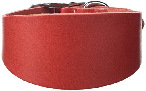 BBD Pet Products Collar Whippet Budget, Talla única, 3/4 x 10 a 12 Pulgadas, Rojo