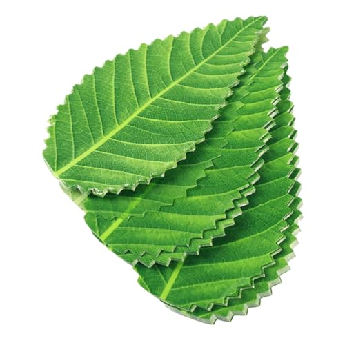 TOPPERFUN 200it ΐF̐lHt to iM p y