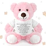 Lenwen a Bear Hug Gift Get Well Soon Sympathy for Women Plush Stuffed Animal Hug Thinking of You Condolences Memorial Loved Present(Pink,Bear)