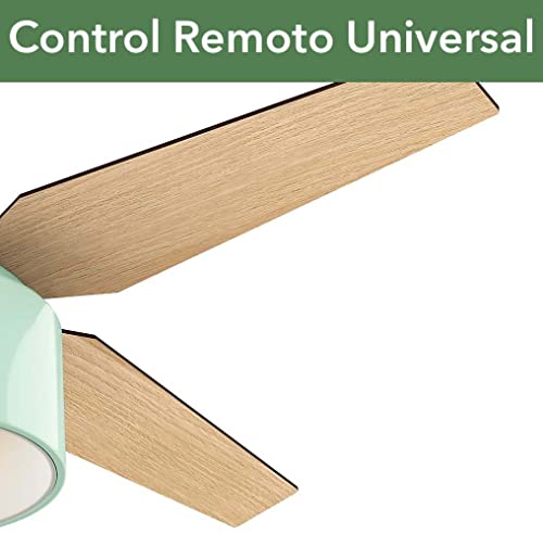 Hunter 52 inch Indoor Ceiling Fan with LED Light and Remote Control - Modern Ceiling Fan, Low Profile Mount, 4 Blades, For Bedroom, Living Room, or Kitchen, Quiet - Cranbrook 59260, Mint - Image 4
