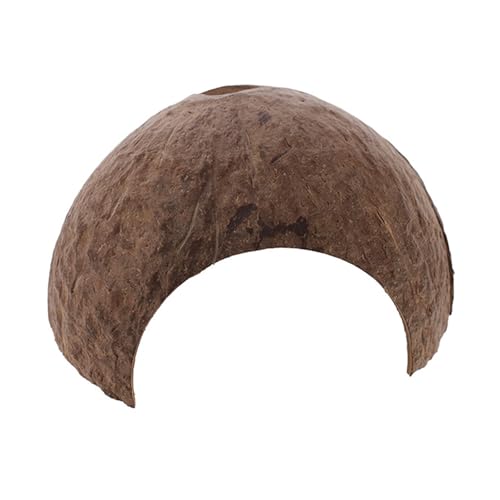 nX^[nEXNC~O_[RRibcBƃlXg̐n̏K[rYS[fxAȃybgnX^[nEXB