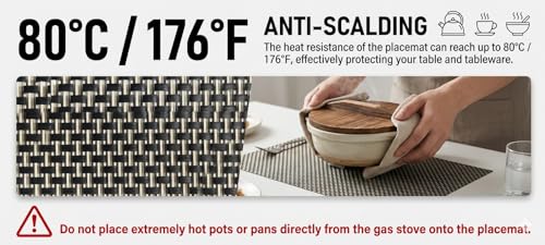 Image of Dribble Premium Anti UV-Mesh Woven PVC Table Placemats Set of 6 - Non-Slip, Heat Resistant, Washable Dining Table Mats for Kitchen, Dining & Office - 45cm X 30cm Durable Textured Design (Black)