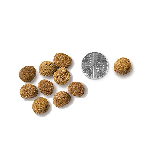 Vet's Kitchen Trockenfutter für Hunde, Senioren, getreidefrei, Truthahn & Süßkartoffel, 2,2 kg