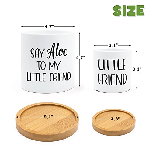 Tuitessine Say Aloe To My Little Friend Planter Plant Lover Set Of 2 Spring Funny Pun Flower Pot With Bamboo Tray Ceramic Indoor Succulent Hole Spring Summer Birthday Housewarming Gifts (No Plants) #TOP1