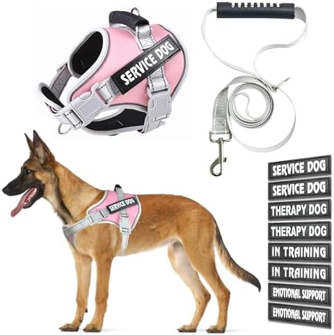 Service Dog Vest, Dog Vest Harness and Leash Set, Night Reflective Service Dog Harness with 8 Patches, in Training Dog Vest Harness for Small Medium Large Dogs (Pink, Medium)