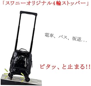 Amazon.co.jp: [SWANY]キャリーバッグ D-555 エマイロV TS15