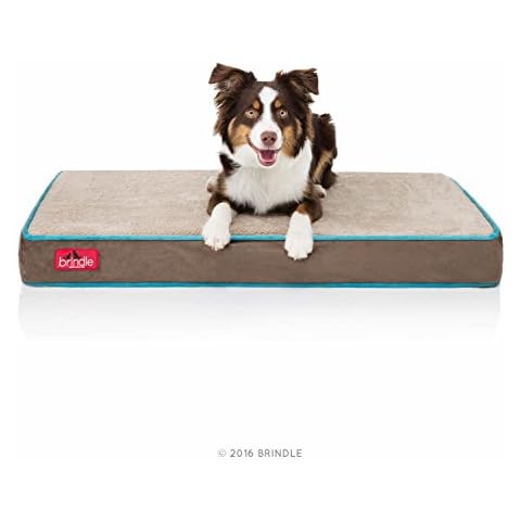 BRINDLE Waterproof Memory Foam Pet Bed - Removable and Washable Cover - 4 Inch Orthopedic Dog and Cat Bed - Fits Most Crates,Mocha Blue Cover