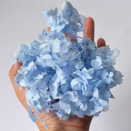 Bola bordada con flores secas para manualidades miniatura 4