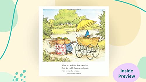 A Porcupine Named Fluffy 033344406X Book Cover