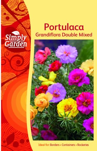 Portulaca Grandiflora Double Mixed Seeds Easy-to-Grow Flower Seeds for Garden Patio & Containers Colorful Summer Flowers that Attract Bees