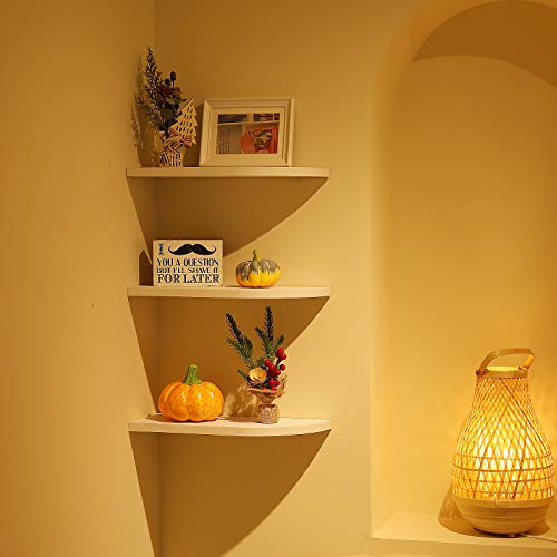 Welland Floating Corner Shelves Wall Mounted Display Shelf Set Of 3 For Bathroom, Bedroom, Living Room, Kitchen, Office And More #TOP6