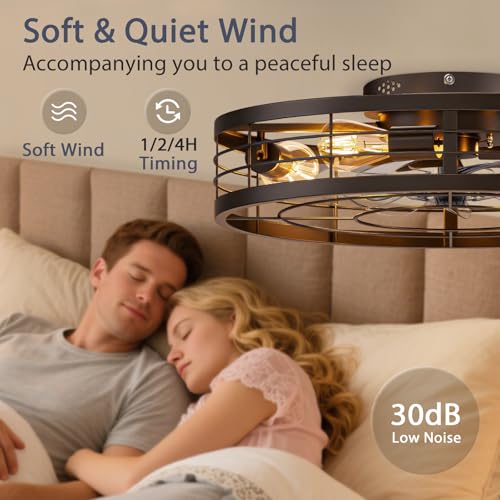Image of VOLISUN Caged Ceiling Fan with Light and Remote,23.6 inch Fandelier Ceiling Fan with Light Flush Mount, Farmhouse Bladeless Ceiling Fans with Lights for Kitchen,Bedroom