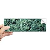 Material: hochwertiges Vinyl. DIYthinker Nautilus Ammoniten Fossilien Exemplare Rechteck Bumper Sticker Notebook Fenster Aufkleber