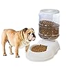 Automatic Dog & Cat Feeder Station – Gravity Food Dispenser for Large Dogs & Travel Supply