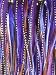 7"-10" Dark Purple with Natural Brown Mixes of Quality Feathers Hair Extension! 5 Feathers