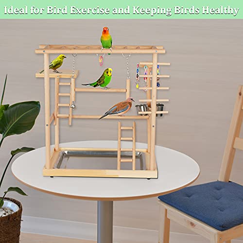 Echaprey Bird Playground Parakeet Cockatiel Playstand Parrot Gym Playground Natural Wood Double Layer Pet Bird Perch Stand with Feeder Bowl Ladder - Thumbnail 3