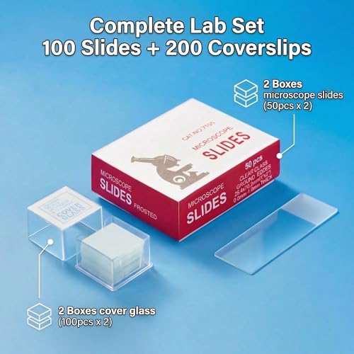 Lames de microscope pour cours de biologie et observations scientifiques à la maison