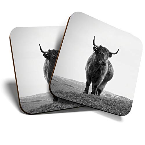 Great Coasters (Set of 2) Square/Glossy Quality Coasters/Tabletop Protection for Any Table Type - Black & White Highland Cow Scotland #14885
