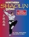 Northern Shaolin Sword: Form, Techniques & Appilcations