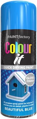 All Purpose Aerosol Spray Paint 250ml Quick Drying Spray / 1x Pair of Disposable Gloves, Fast Dry and Excellent Coverage for Wood, Metal, Plastic and more (1 x Pack, Black Gloss)