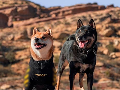 Chochocho Stylish Dog Hoodie Dog Clothes Streetwear Cotton Sweatshirt Fashion Outfit For Dogs Cats Puppy Small Medium Large (2Xl, Yellow) #TOP3