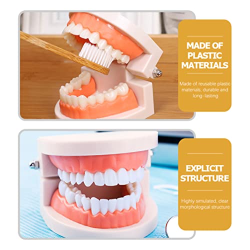 TOYANDONA Brinquedos Educativos Para Crianças 1 Definir dentes Crianças Crianças Cuidados odontológi