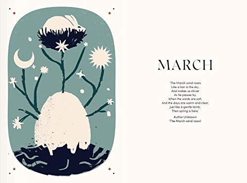 The Mystical Year: Folklore, Magic and Nature