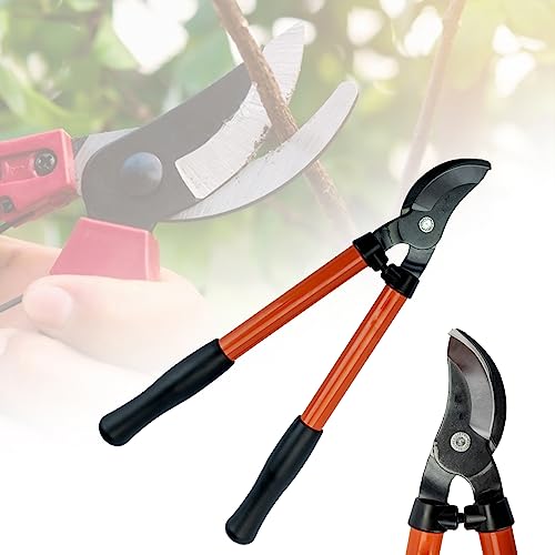 Image of MV190 Professional Orchard and Landscape Tree Lopper 37-CM Long Handle for Effortless Pruning 2-Inch Cutting Capacity for Thick Branches, Carbon Steel Blade (Lopper cutter)