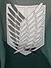 Micotaku Attack On Titan Officially Licensed Scout Regiment Gauze Cloak