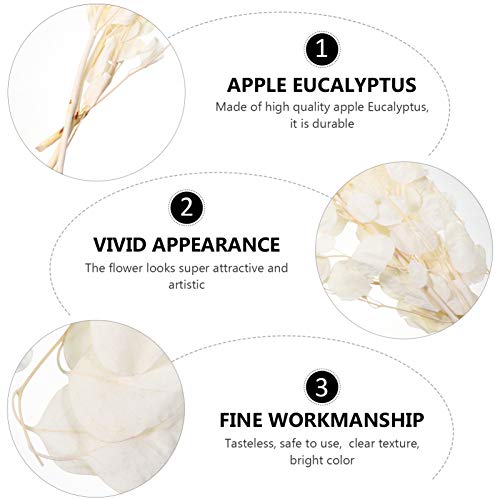 Cacho De Macieira Eucalipto Vasos Para Guirlanda Verde Guirlanda De Natal Hastes De Eucalipto Flores