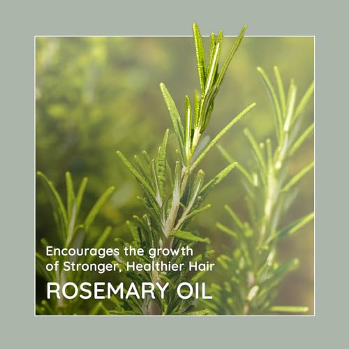 Naissance Rosmarin Haaröl und Kopfhautöl 50ml - Rosmarinöl Haare mit Jojobaöl, Mandelöl, Arganöl und Ätherische Öl - Unterstützt gesundes Haarwachstum