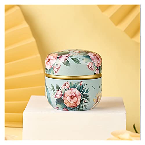 WAOCEO Tea Canister Tea Containers Candle Cans Candy Snacks Small Round Cans Mini Portable Tin Cans Packaging Tea Caddy (Color : 04)