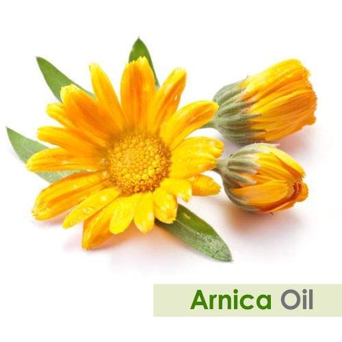 Arnica (Arnica Montana) Therapeutic Essential Oil By Salvia Amber Bottle 100% Natural Uncut Undiluted Pure Cold Pressed Aromatherapy Premium Oil - 15Ml/ 0.5 Fl Oz #TOP1
