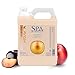 SPA by TropiClean Renew Shampoo, 1 Gallon