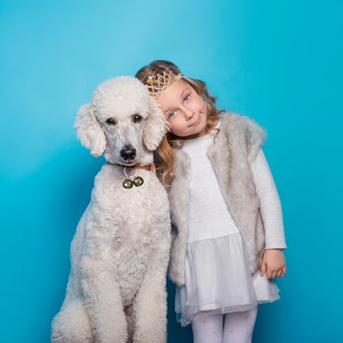 Oykrueats 3 Stück Glöckchen Haustier für Halsband,Katzenglocken Anti Verlust Metall,Kleine Glocke Halsband Anhänger,Laute Haustier Tracker Glocken,Tracker Glöckchen für Katzen Hunde Bell Glocken