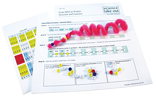 Image of NewPath Learning 74-6727 Chromosomes, Genes and DNA Curriculum Learning Module