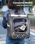 Pecute Petit sac à dos animal Petit sac animal Guinée Pig Carrier, clair fenêtre pour la Guinée Porcelet, lapin, Dragon barbu, écureuil, tortue, oiseau, lézard, sucre Glider,Grey