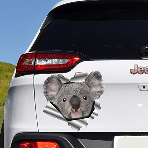 Buy Koala Car Decal, Car Bumper Sticker Vinyl Sticker for Cars, Windows