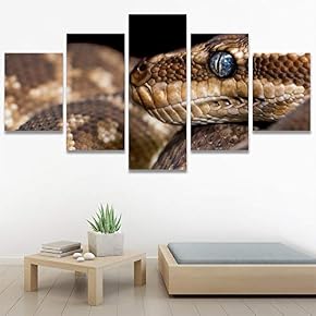 SIGNWIN 5 Panel Canvas Wall Art Coiling Around...
