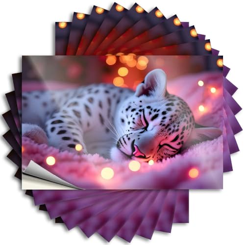 Tatouages amovibles en vinyle pour casque Motif léopard des neiges dormant paisiblement Mimosa 6 x 9 cm