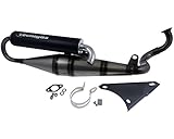 Auspuff Tecnigas Next-R für Honda Dio ZX 50 94- AF34 / AF35