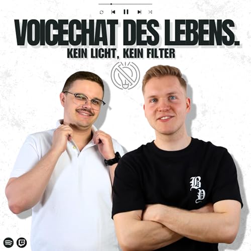 Voicechat des Lebens. cover art