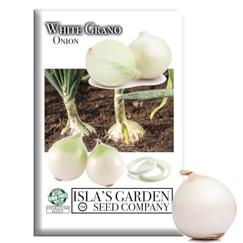 White Grano Onion Seeds (Allium cepa) – 500+ Non-GMO Heirloom Short-Day Seeds by Isla’s Garden Seeds, Sweet Mild Bulbs for Southern Gardens, Great for Slicing, Salads & Spring Harvests