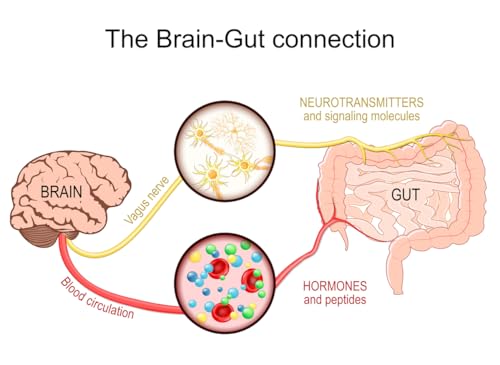 『“Meet Your Microbiome: The Hidden World Within You”』のカバーアート