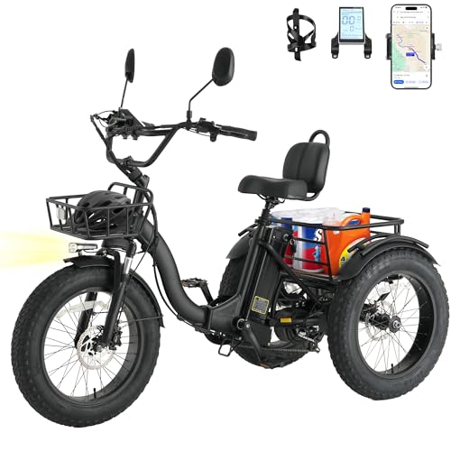Skeri Electric Tricycle for Adults, 750W(Peak...