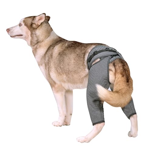 Arblina Hundebody Nach OP, Hundebody für Hinterbeine, Postoperativ Recovery-Anzug für Männliche & Weibliche Hunde, Leckschutz Hund für Kleine/Mittlere/Große Hunde