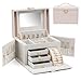 Vlando Mirrored Jewelry Box Organizers for Girls Women Teens Vintage Gift Case - Faux Leather Jewelries Necklaces Earrings Rings Storage Holder, Croco Pink