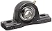 Hub City PB250URX3/4 Pillow Block Mounted Bearing, Normal Duty, Low Shaft Height, Relube, Setscrew Locking Collar, Narrow Inner Race, Cast Iron Housing, 3/4" Bore, 1.52" Length Through Bore, 1.252" Base To Height